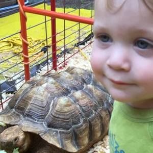 Meet your Posher, Collyn